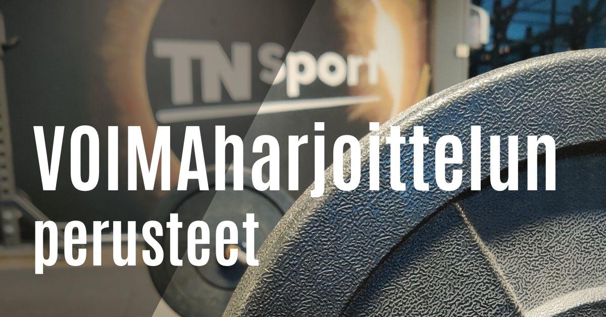 Voimaharjoittelun perusteet, by Katja Heikkonen